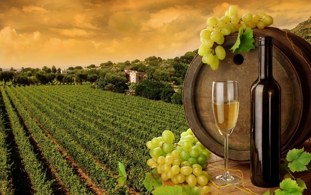  Wines from Sula Vineyards enter Russian market 