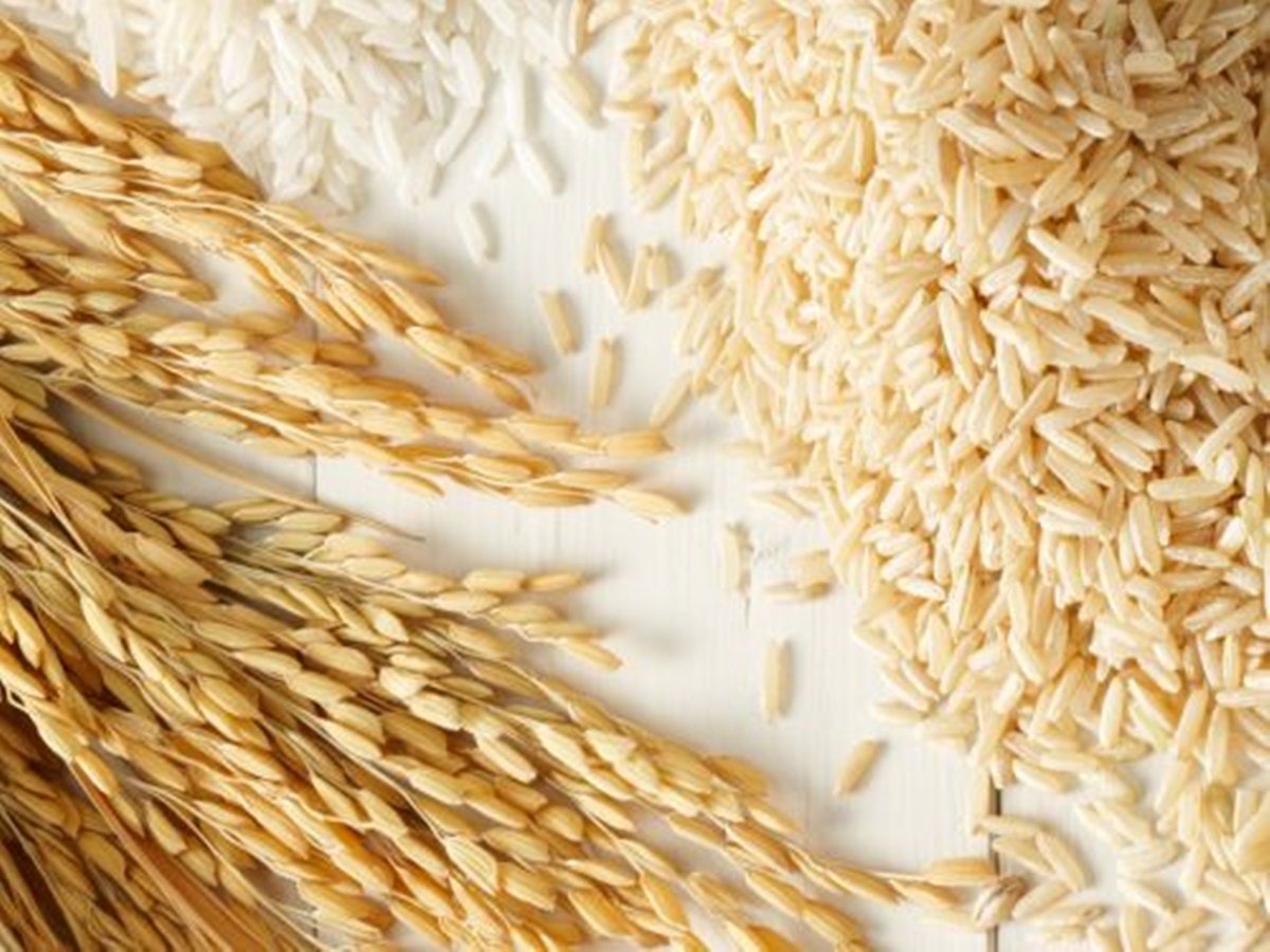  One serving of rice bran can provide essential nutrition 