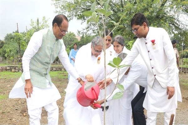 CM Chouhan plants saplings of Neem, Banyan and Karanj
