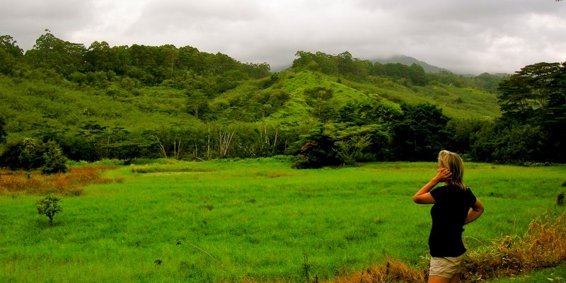 Support eco-tourism as a traveller 