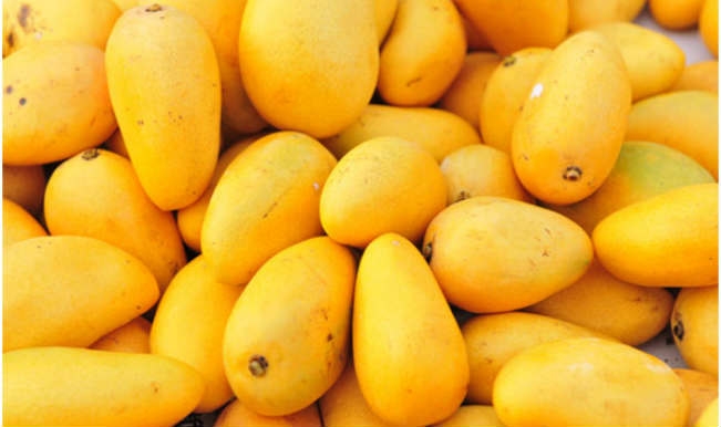  Importers from 7 countries take part in mango buyer-seller meet 