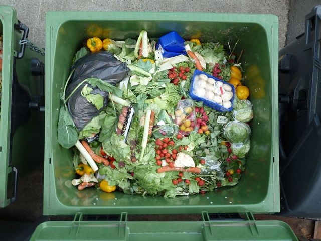   One third of world food produced is thrown away  