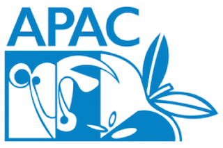 APAC online display ad spend to hit $38.1 bn in 2021 