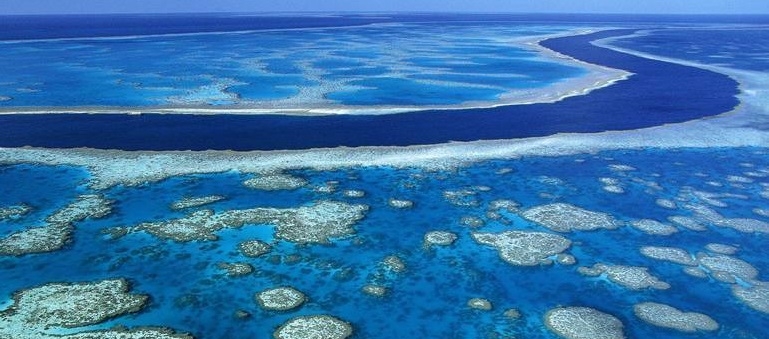  UK billionaire presents petition to protect oceans 