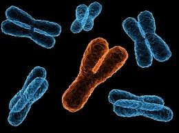  This device can help doctors diagnose genetic diseases 
