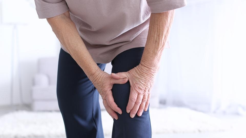  Removal of old cells may delay onset of osteoarthritis 