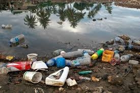  100 tonnes of garbage collected from Peru lake 