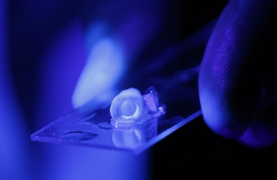  New 3-D based blood vessels may revolutionise root canal 