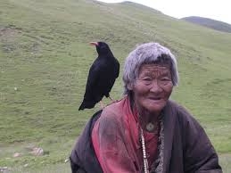  Meet the villagers protecting biodiversity on the top of the world 