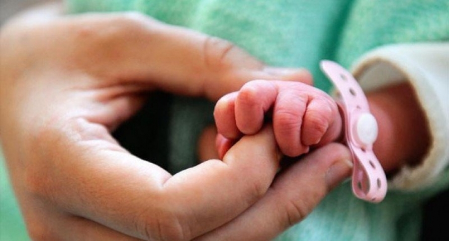  Rats nibble newborn baby s fingers in Rajasthan hospital 