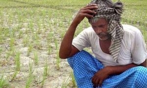  What puts farmers at higher risk of suicide 