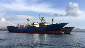  Unaware if cargo ship hit Indian fishing boat: Captain 