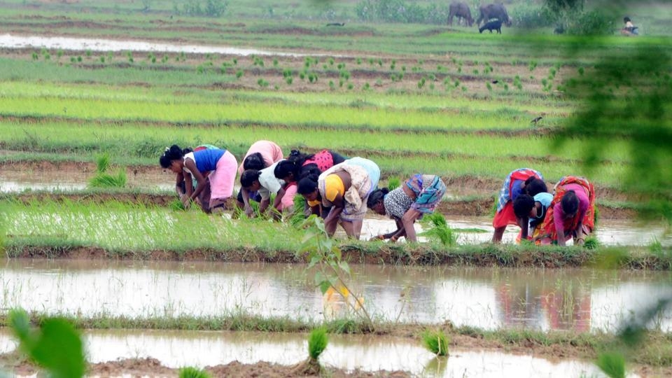  Farmers in Jharkhand to get loans at 1% interest rate 