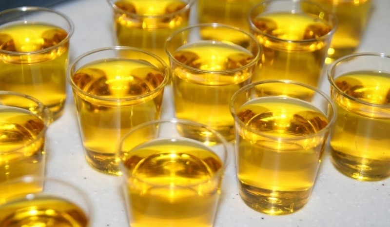 Jello Shots Gelatin