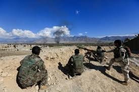  Taliban arrests five IS fighters in Afghanistan 