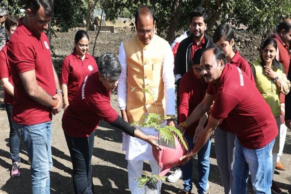 CM Chouhan plants saplings along with members of environment loving organisation