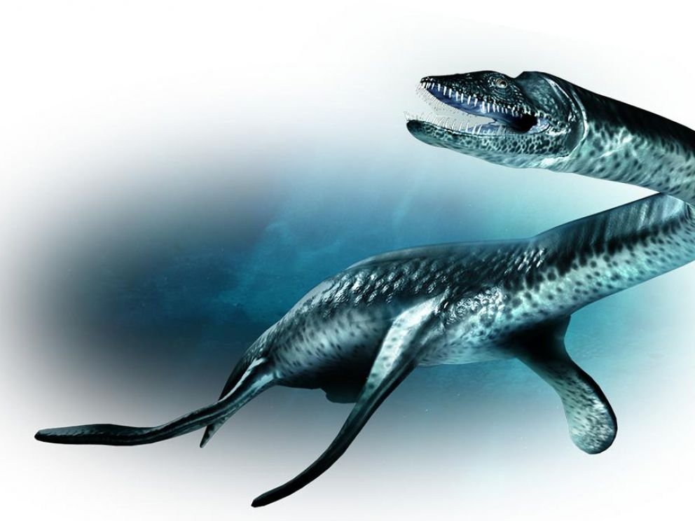  New species of ancient marine reptile pliosaur 