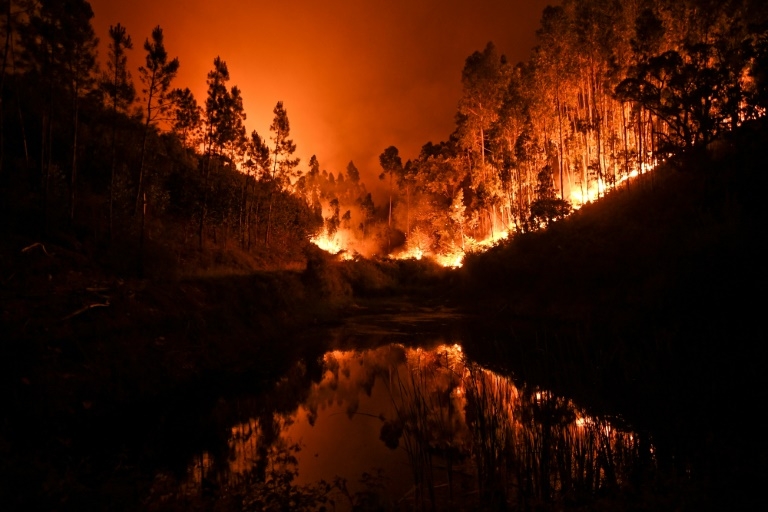  62 killed by devastating forest fire in Portugal (Third Lead) 