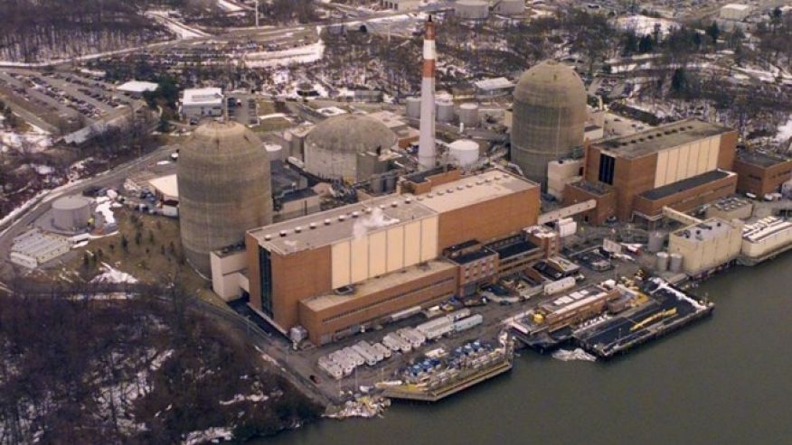 Bird causes power outage in US city 