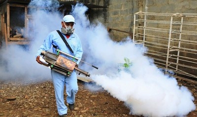  Sri Lanka warns of dengue epidemic 