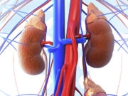  Odisha girl becomes youngest incompatible kidney recipient 