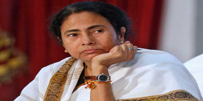  Mamata appeals to Dutch investors to invest in Bengal (Lead) 