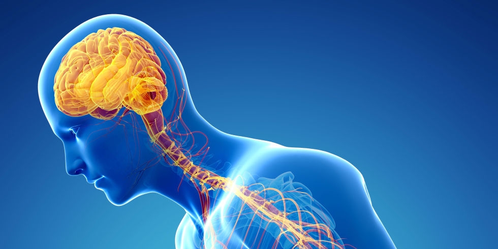  Parkinson s may partly be an autoimmune disease: Study 