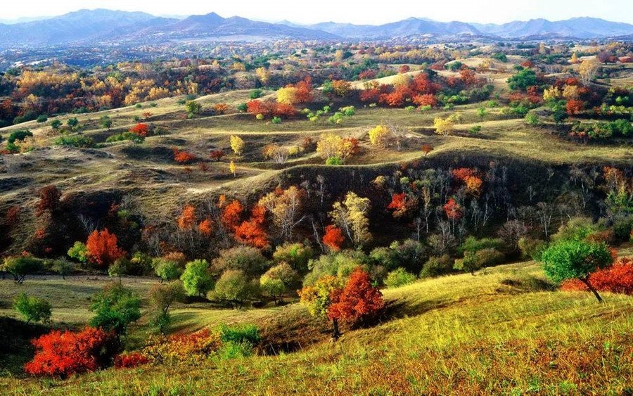  China s desert greening inspires world: UN 