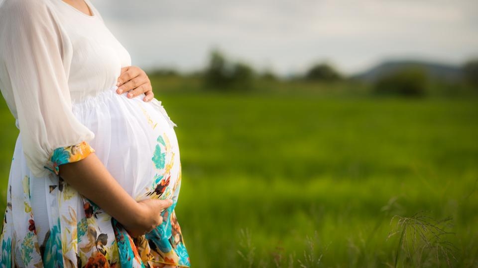  Rujuta Diwekar s book, a sorted guideline for pregnancy 