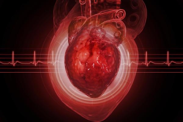  Humans may regenerate heart cells in future: Study 