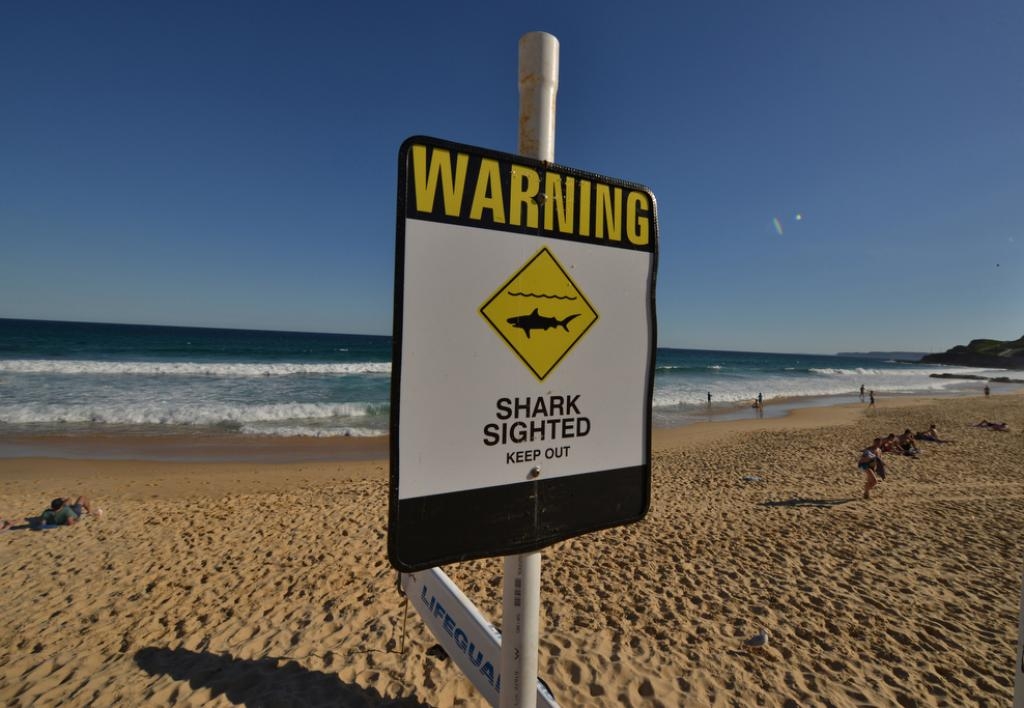  Drones with sirens to warn of sharks in Australia 