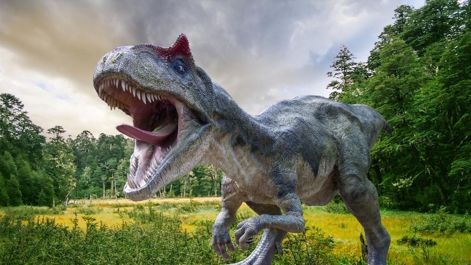  Dinosaurs  sensitive faces helped them eat, attract mates 