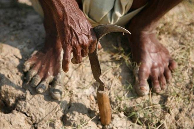  Two more MP farmers commit suicide 