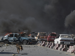  20 IS militants killed in Syria bombing 