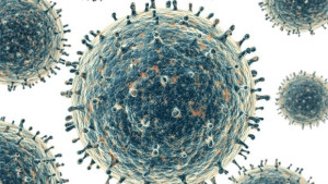  Protein key to common respiratory virus identified 
