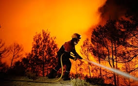  Forest fire in Spain extinguished 