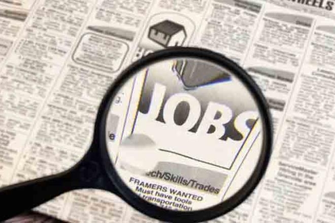  Clean energy jobs see sharp spike in India 