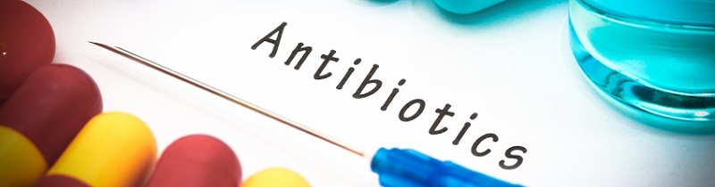  Common household disinfectant may up antibiotic resistance risk 