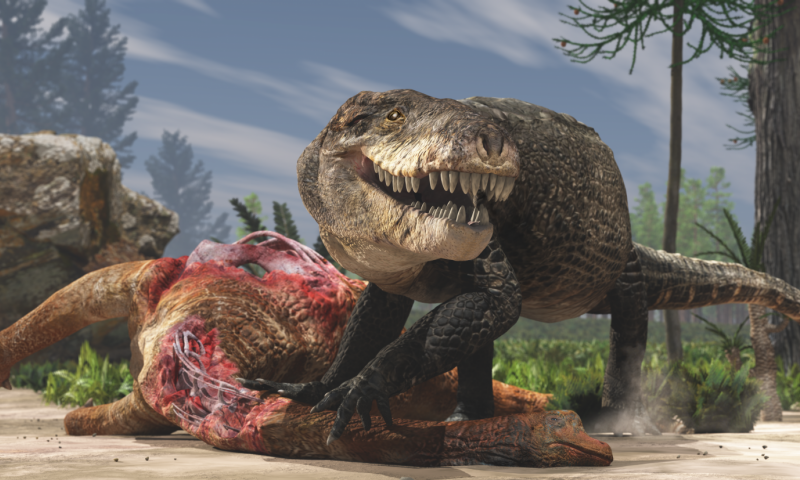 Jurassic-era crocodile with T-rex teeth discovered in Madagascar 