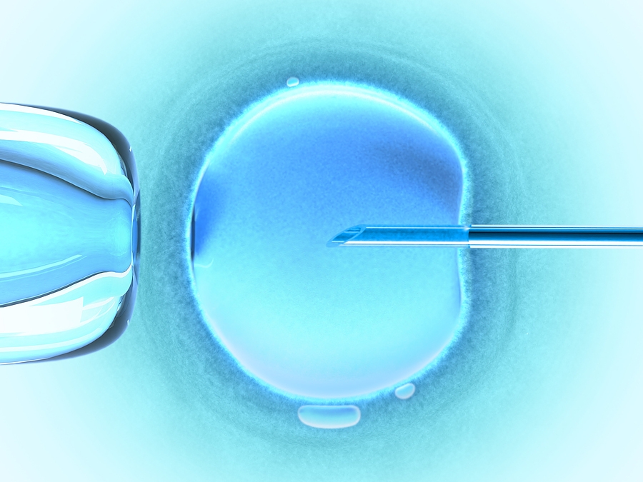  25% surge in IVF cases in recent years, say doctors 