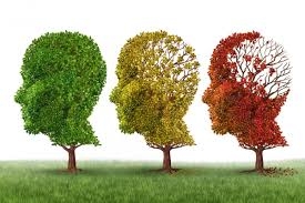  Disrupted sleep may predict Alzheimer s risk 