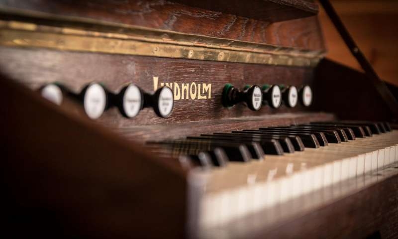  Learning with music can change brain structure: Study 