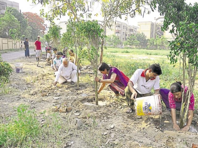  Plantation drive launched in Ghaziabad 
