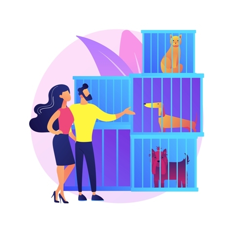 Animal Control - Balancing Safety and Coexistence.