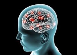 New biomarkers may help detect brain injury faster 