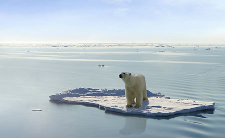 Arctic winter warming events becoming more frequent 