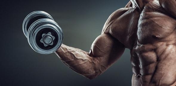  Genetic factors linked to strength identified 