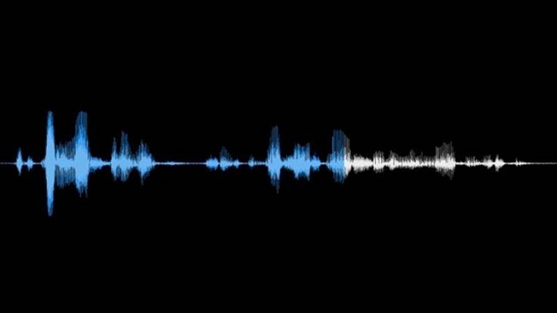  Researchers develop tools to turn audio clips into realistic video 