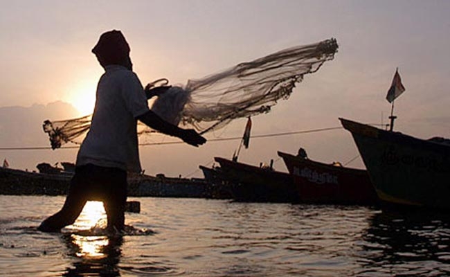  Seven Indian fishermen arrested in Sri Lanka 