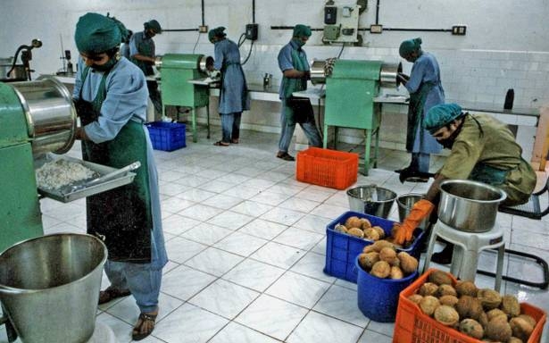  Centre s plea on food processing units 